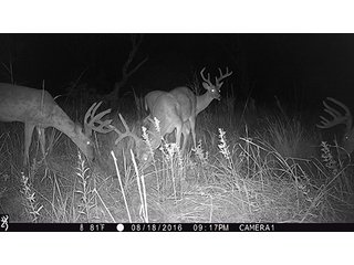 Property photo 66 - LAND AUCTION - 440+/- ACRES OFFERED IN 17 TRACTS IN OSAGE CO., OKLAHOMA